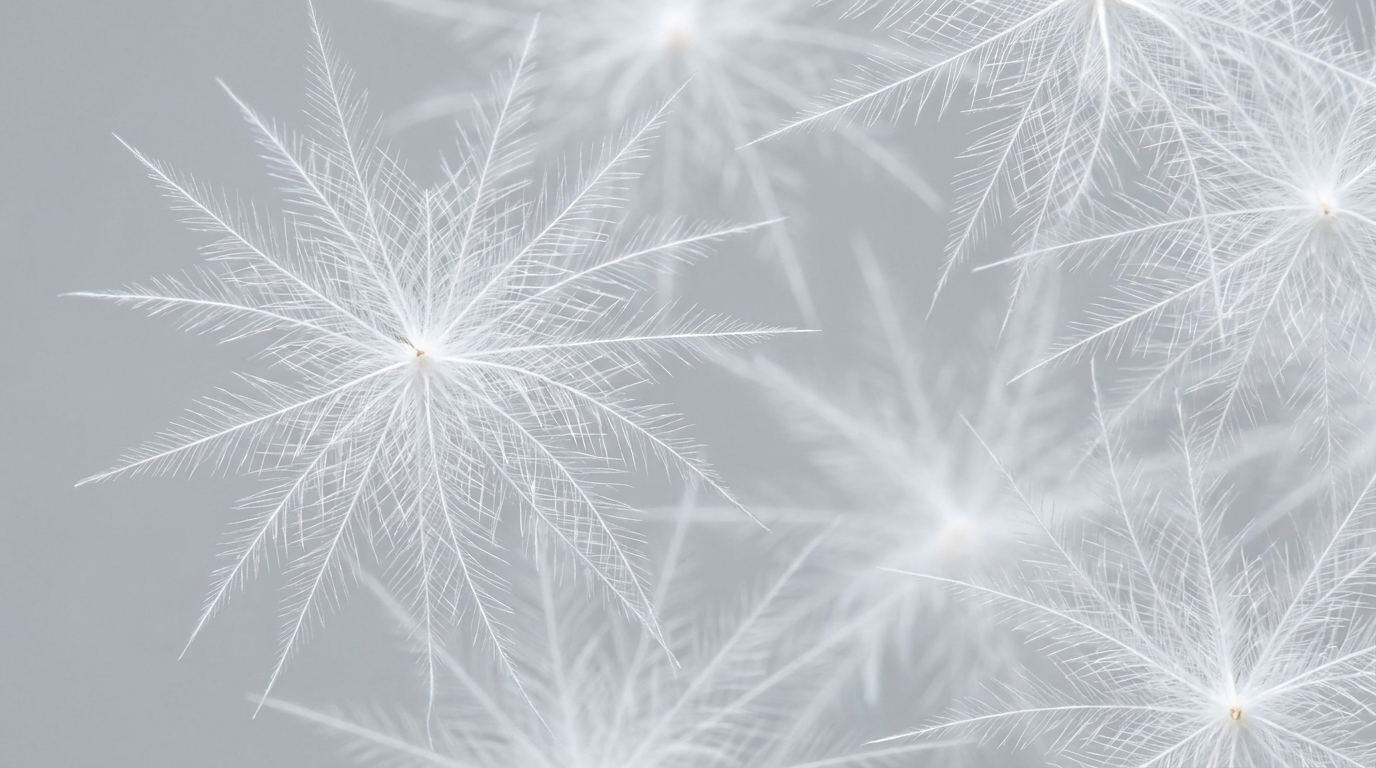 Macro photograph of goose down clusters — snowflake-like filament structures showing the natural air-trapping geometry that determines fill power
